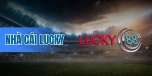 Nhiều giải đấu hấp dẫn, cung cấp dữ liệu chuẩn