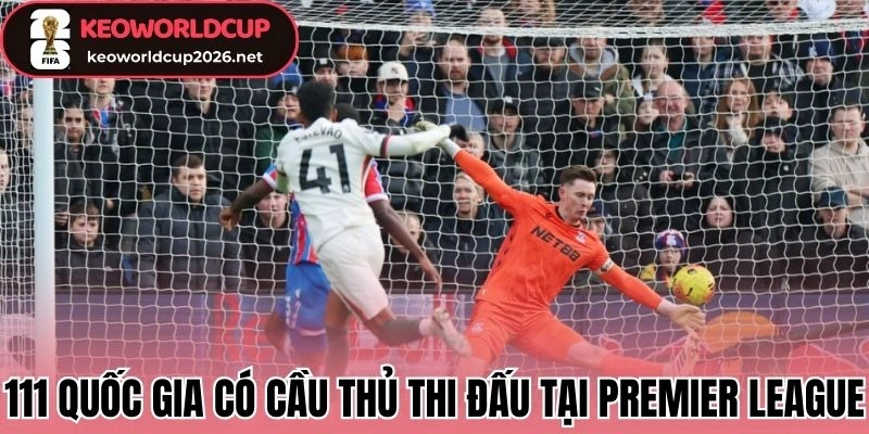 Ngoại Hạng Anh “Chiếm Sóng” - Xương Sống Của Các Đại Tuyển 1 111 Quốc gia có cầu thủ thi đấu tại Premier League