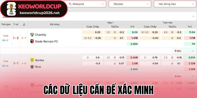 Các dữ liệu cần để xác minh