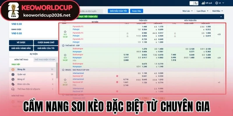 Cẩm nang soi kèo đặc biệt từ chuyên gia