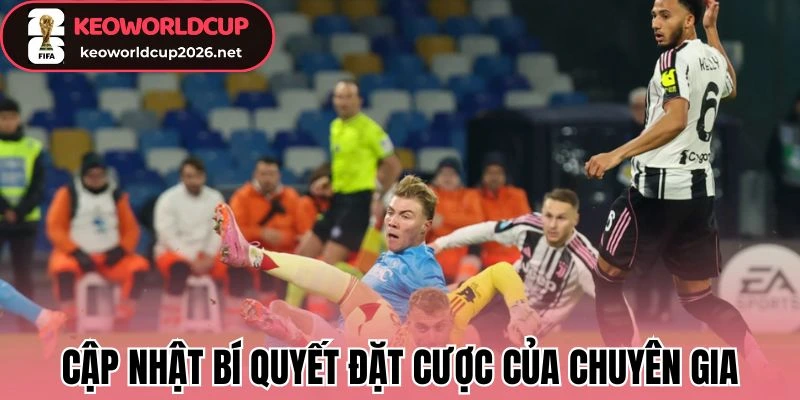 Cập nhật bí quyết đặt cược của chuyên gia