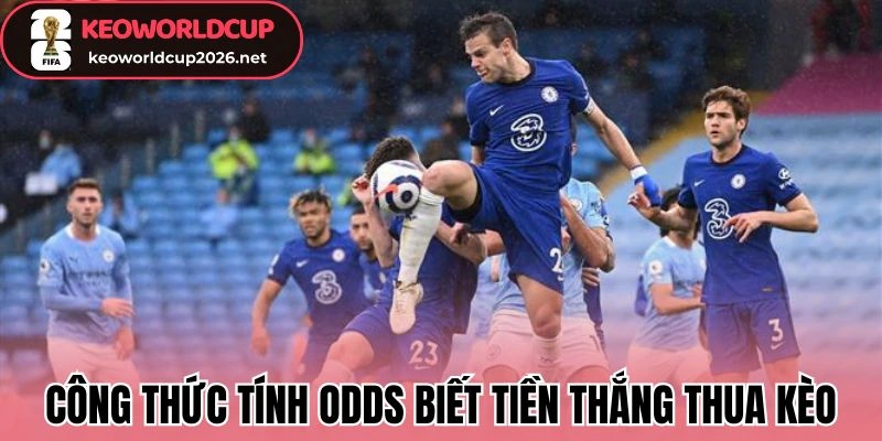 Công thức tính odds biết tiền thắng thua kèo