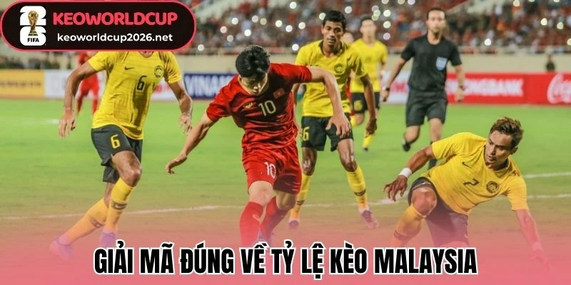 Giải mã đúng về tỷ lệ kèo Malaysia