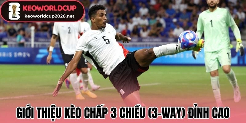 Giới thiệu kèo chấp 3 chiều (3-Way) đỉnh cao