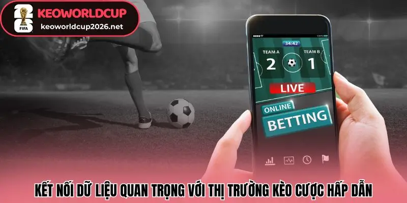 Kết nối dữ liệu quan trọng với thị trường kèo cược hấp dẫn