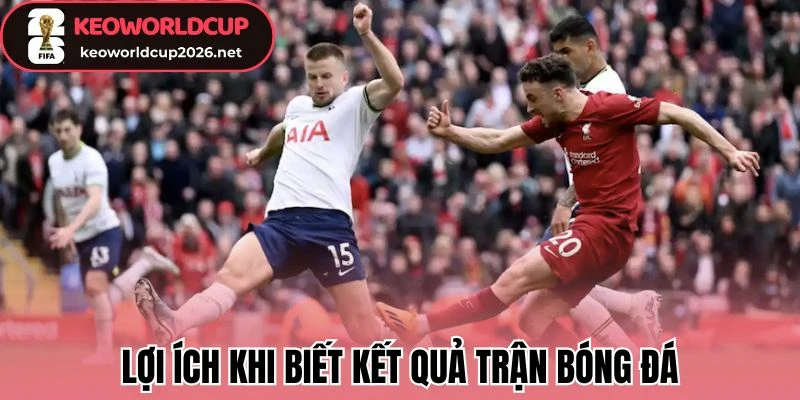 KQBĐ 24/7 94 Lợi ích khi biết kết quả trận bóng đá