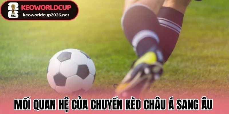 Chuyển Kèo Châu Á Sang Âu - Cách Tiến Hành Hiệu Quả Khi Cược 1 Mối quan hệ của chuyển kèo châu Á sang Âu