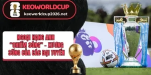 Brazil sở hữu nhiều cầu thủ đang thi đấu Premier League