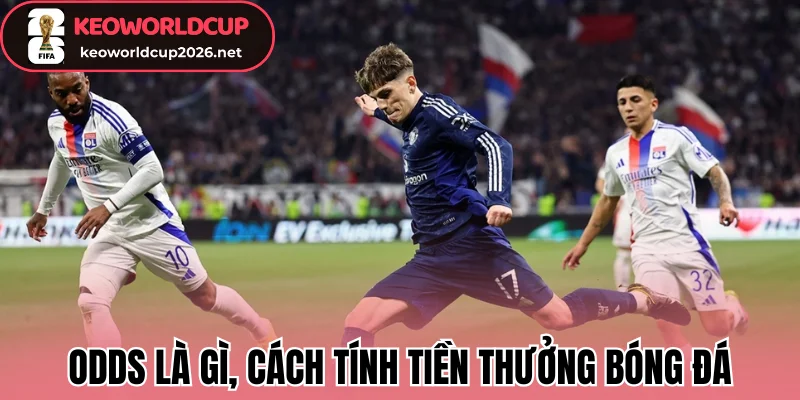 Odds là gì, cách tính tiền thưởng bóng đá