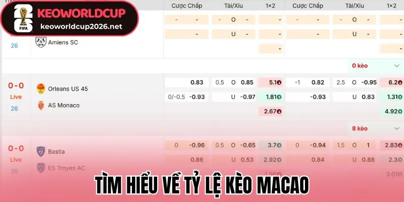 Tìm hiểu về tỷ lệ kèo Macao