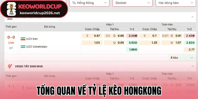 Tổng quan về tỷ lệ kèo HongKong