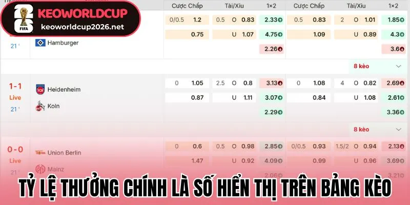 Tỷ lệ thưởng chính là số hiển thị trên bảng kèo