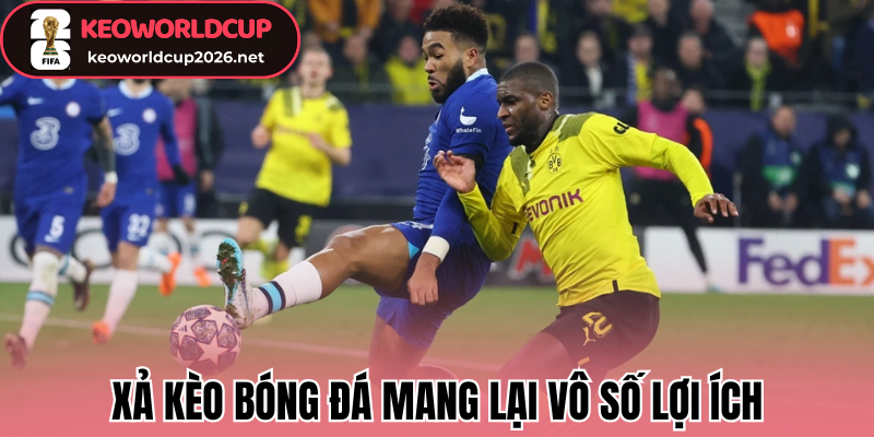 Xả kèo bóng đá mang lại vô số lợi ích