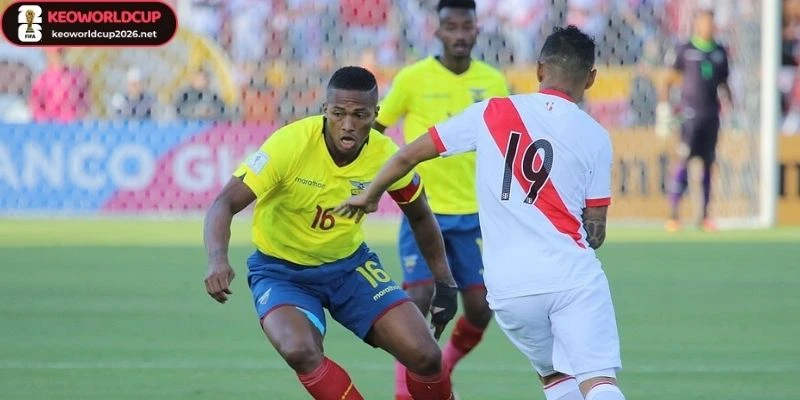 Soi chiến thuật được sử dụng trong trận Ecuador vs Đức