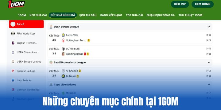 1GOM đang cung cấp những gì cho người xem? 