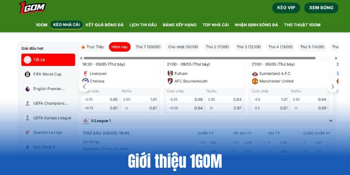 Tổng quan về 1GOM