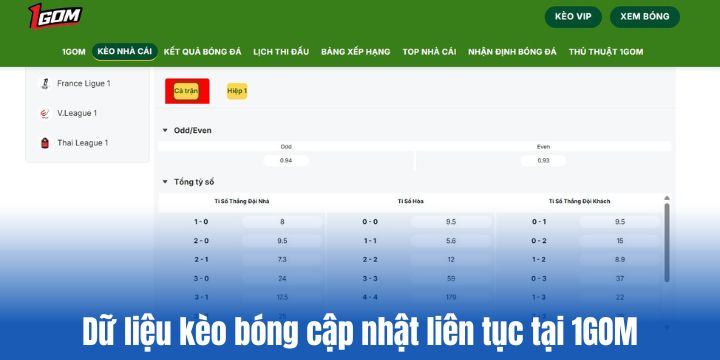 1GOM liên tục cập nhật kèo bóng mỗi ngày
