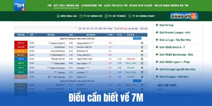 7M - Chuyên trang Livescore & tỷ lệ kèo trực tuyến 24/7 1 Vài điều cần biết về 7M