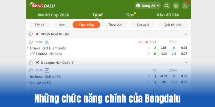 Những chức năng chính của Bongdalu