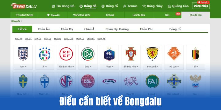 Đôi nét về Bongdalu 2026