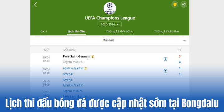 Những chức năng chính của Bongdalu
