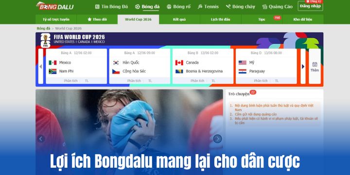 Vai trò hỗ trợ tích cực của Bongdalu trong cá cược