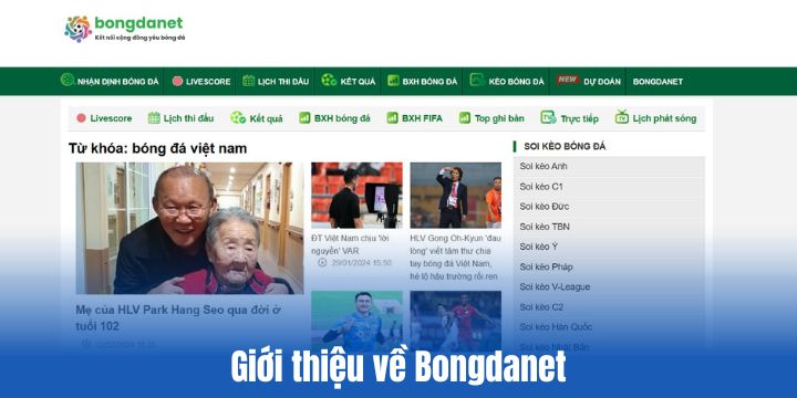 Bongdanet - Cập nhật tỷ lệ kèo & nhận định chuyên môn trước trận 1 Trang xem bóng đá Bongdanet là gì?