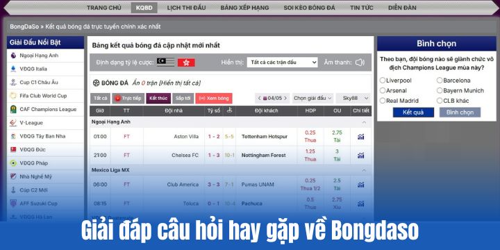 Điều gì thường khiến fan bóng đá tò mò về Bongdaso? 