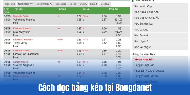 Bongdanet - Cập nhật tỷ lệ kèo & nhận định chuyên môn trước trận 3 Cách đọc bảng kèo tại Bongdanet